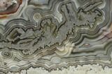 Polished Crazy Lace Agate Slab - Mexico #141203-1